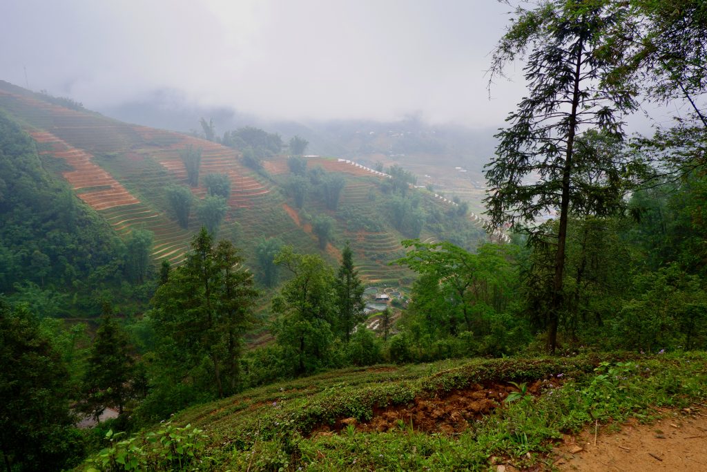 Vietnam