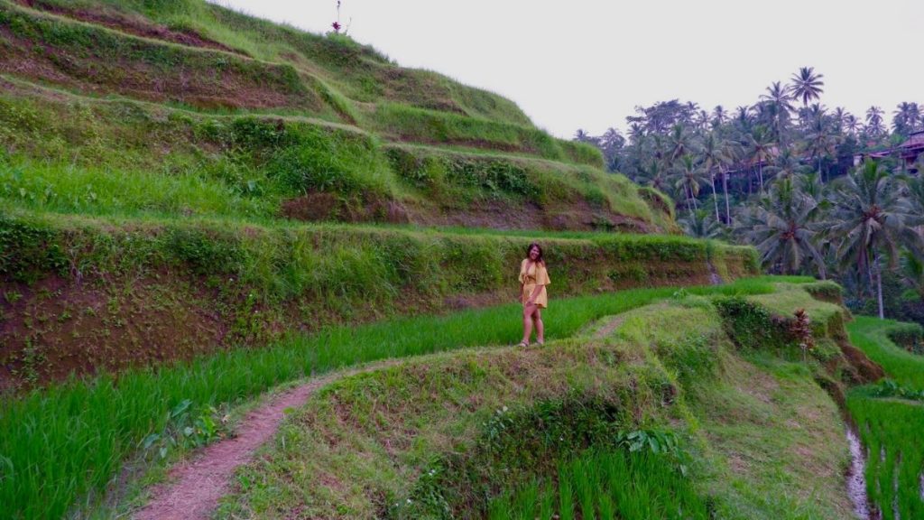Questions about solo travel answered