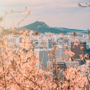 south korea