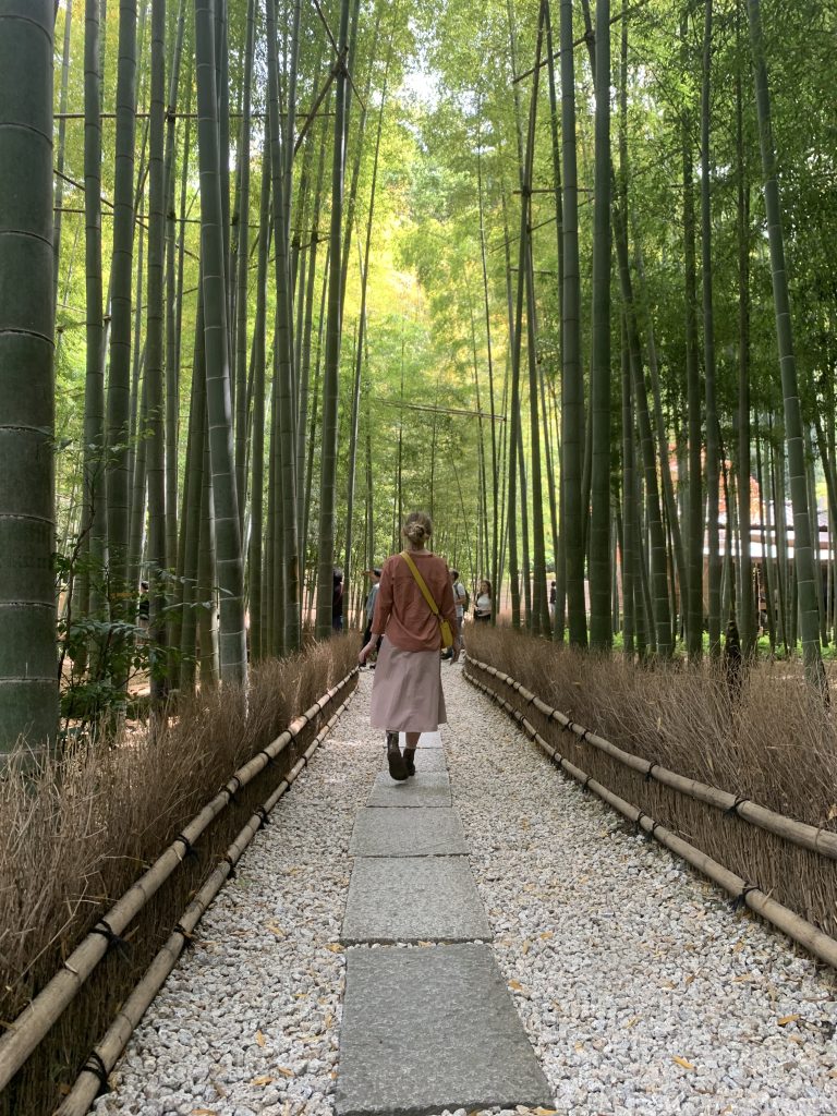 Kate TEFL teacher in Japan