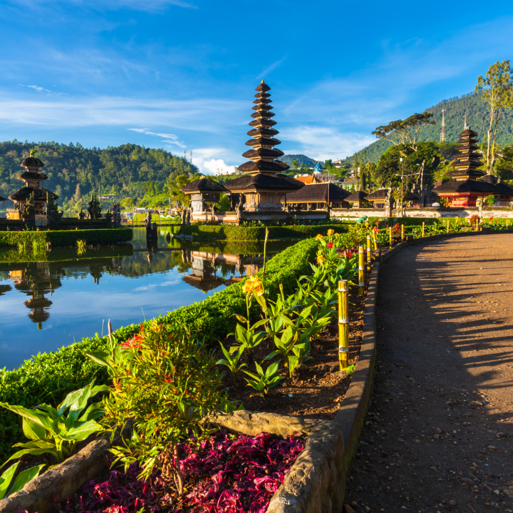 TEFL internship