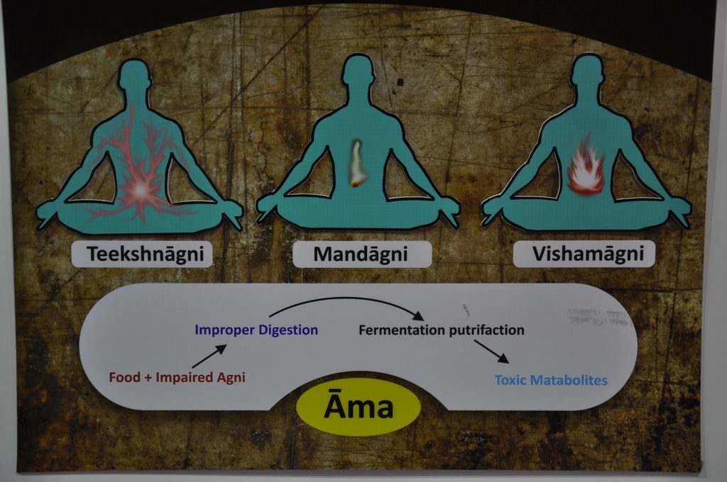 Ayurvedic