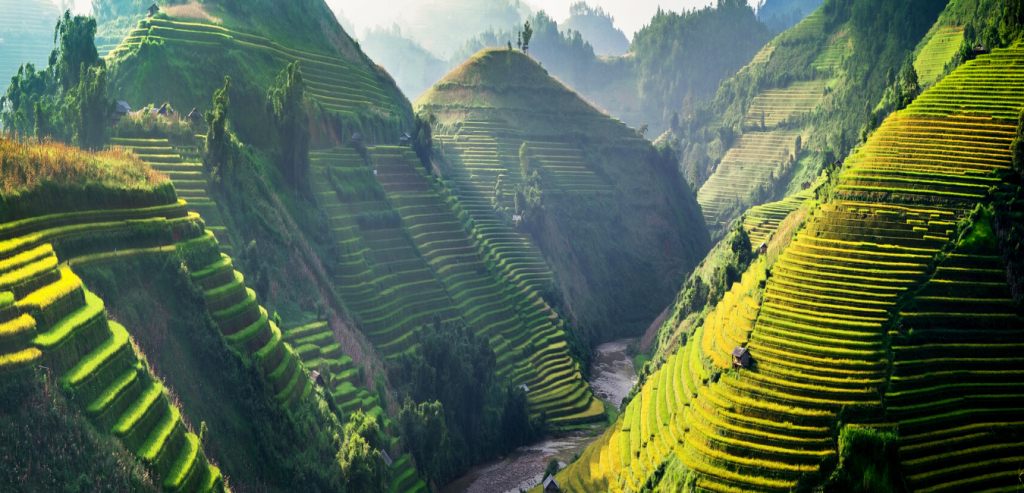 Vietnam