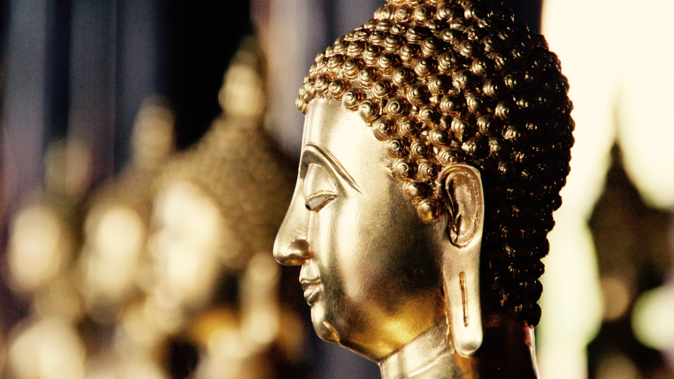 Teach English in Bangkok