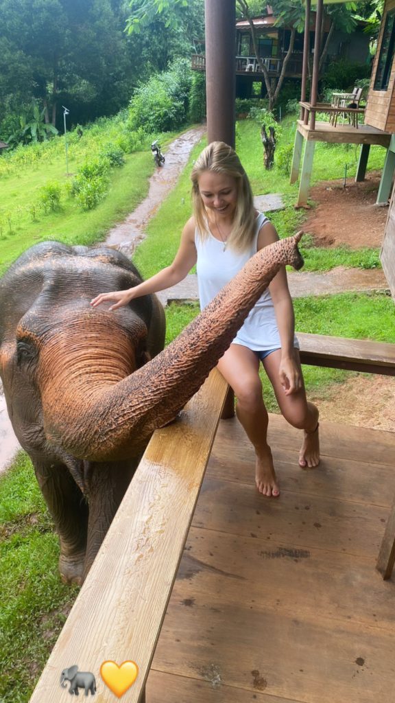 elephant-experience-in-thailand--irish-girl-with-tefl-travel-opportunities