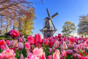 Netherlands_Country_Guide