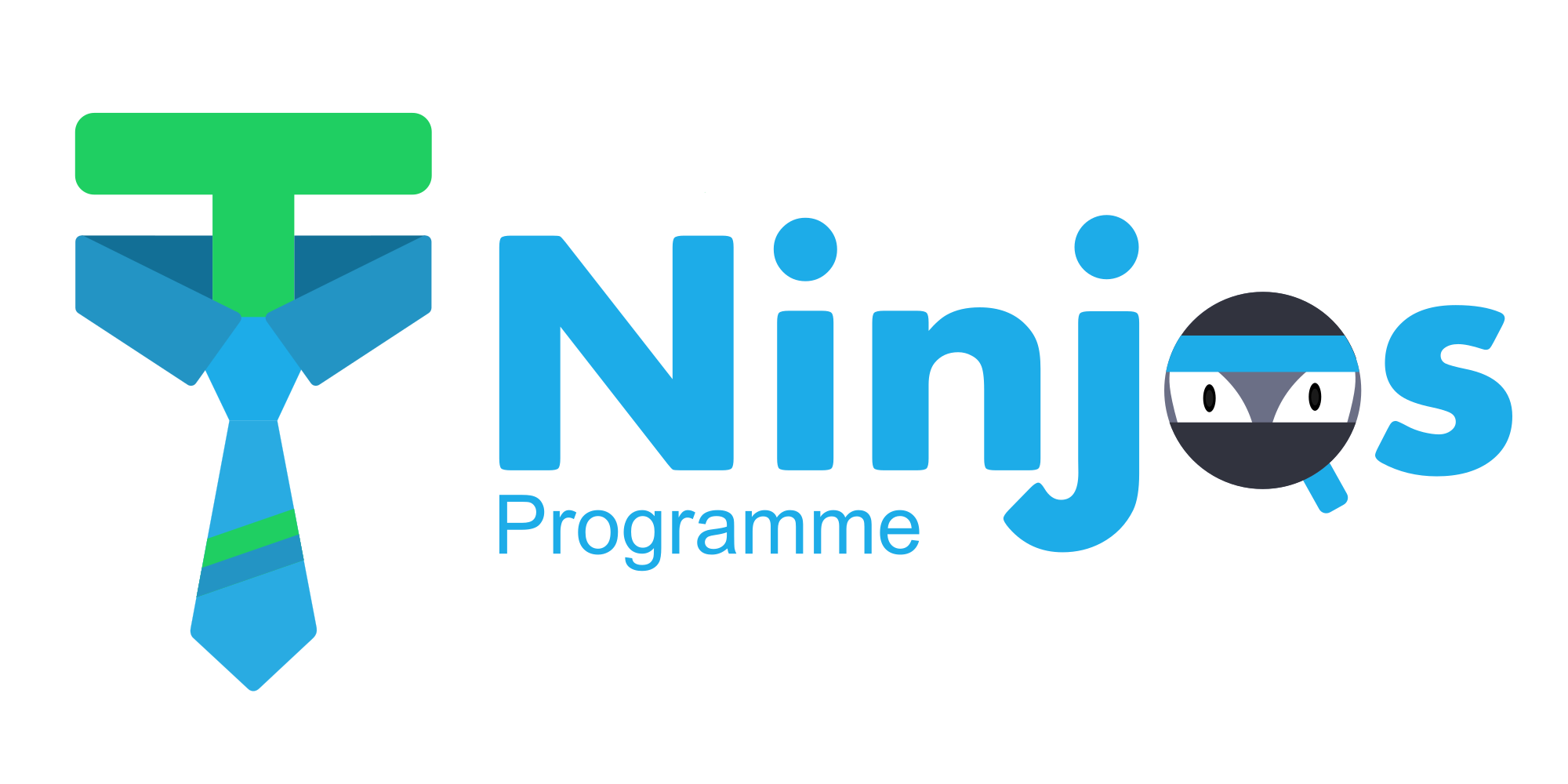 TY Ninjas Programme