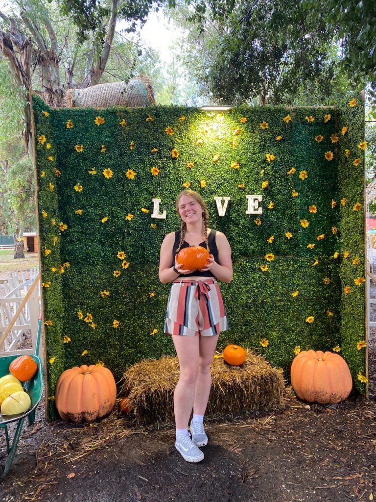 pumpkin-picking-experience-in-italy