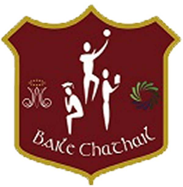 Partner school crest