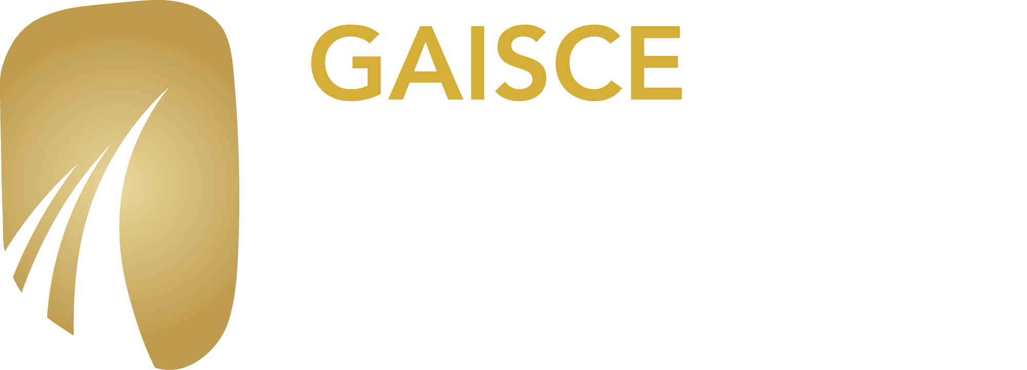 Gaisce