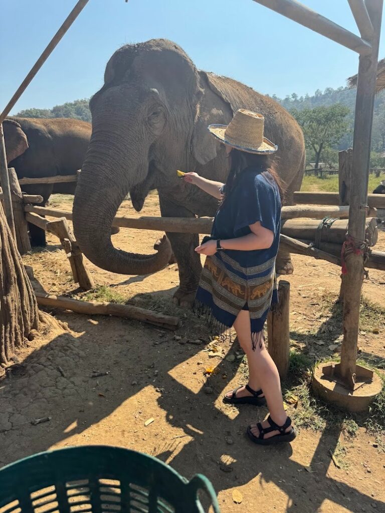 TEFL Thailand