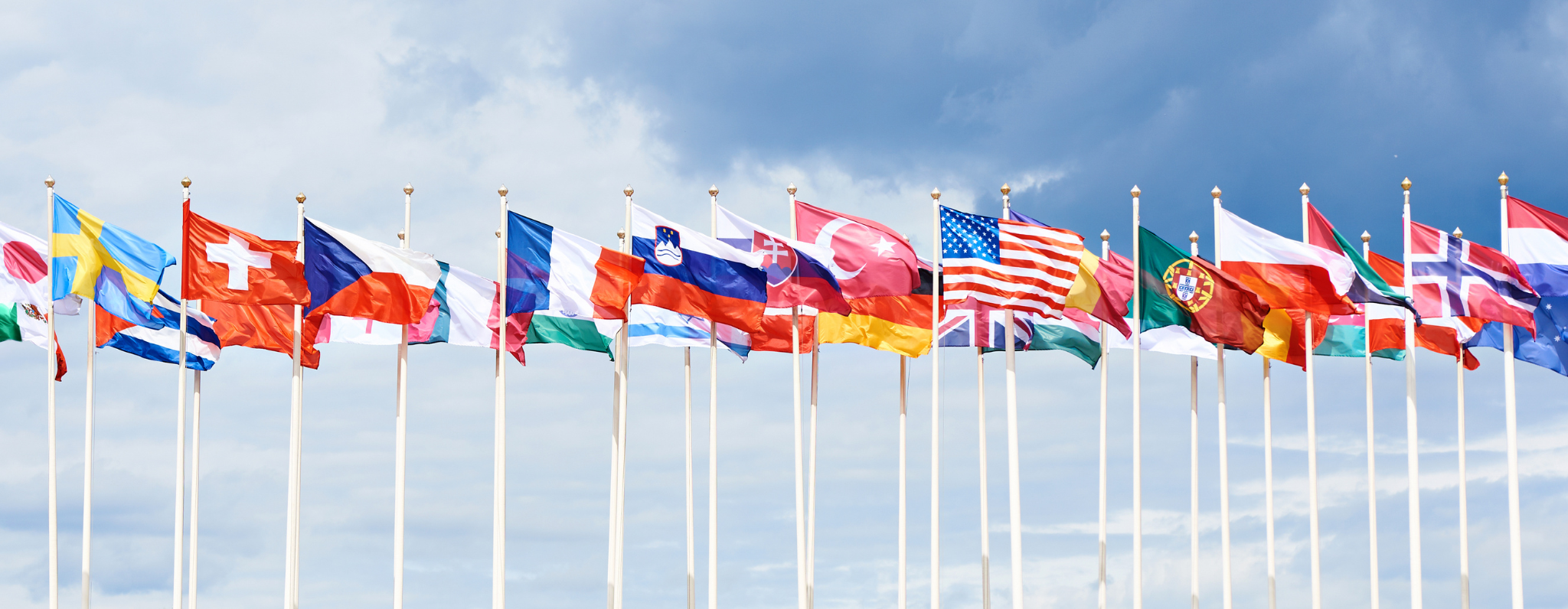 State of TEFL 2026: Jobs, Salaries, AI & EU Benefits for Irish Teachers