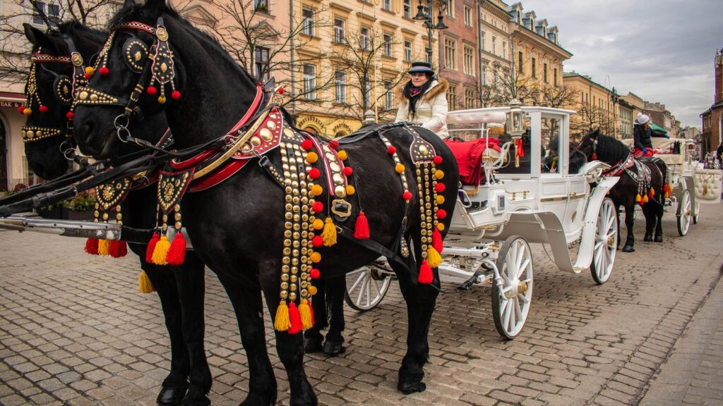Teach English in Poland: Jobs, Pay and the EU Route for Irish Teachers