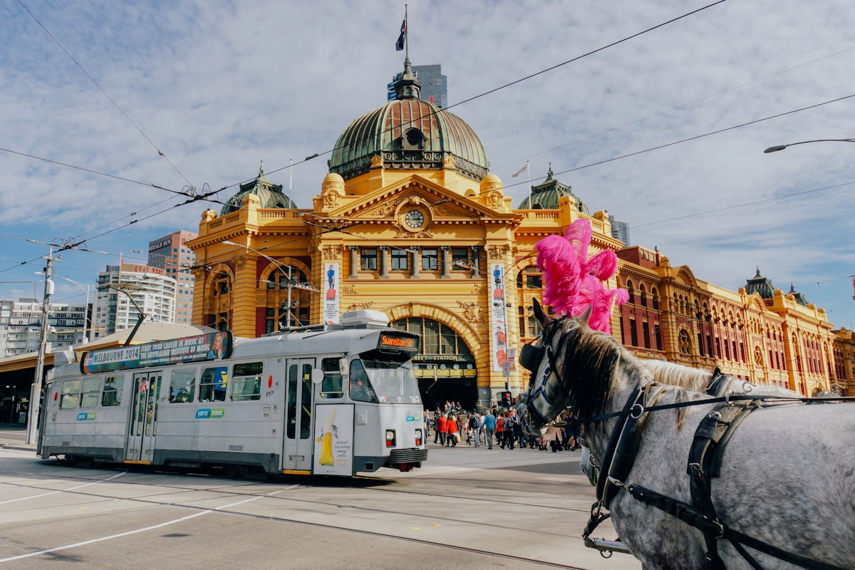 Melbourne city street with a tram, a popular base for TESOL certified English teachers in Australia